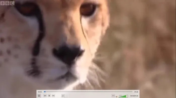 Useful Things Vlc Cmd Fullscreen Play