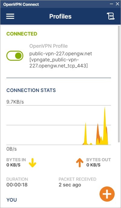 Vpn Connect Successful