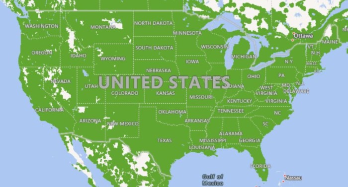 Mvno Cricket Coverage