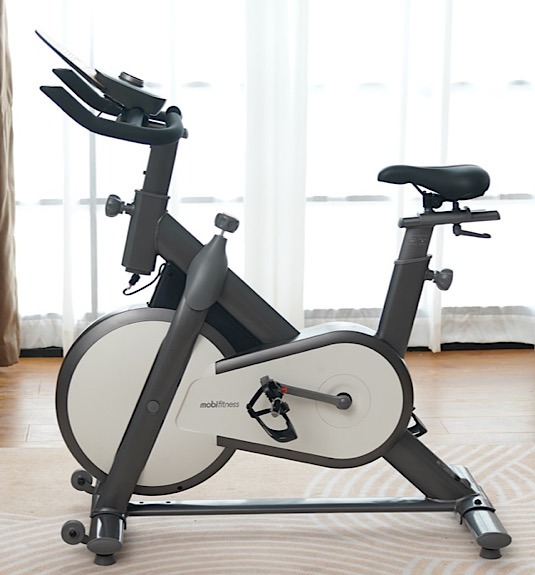 Moi Fitness Bike Flywheel