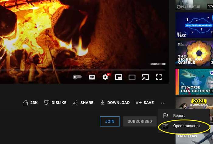Opening Youtube Transcript