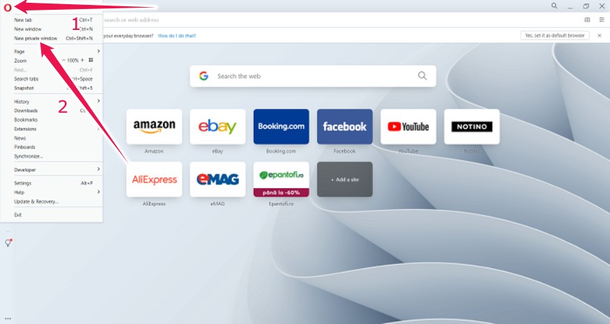Auto Log Out Google Opera Open Private Window