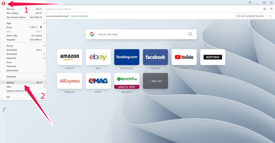 Auto Log Out Google Opera Pc Settings