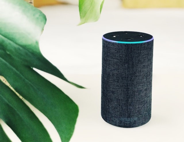 Echo Listening Blue Light