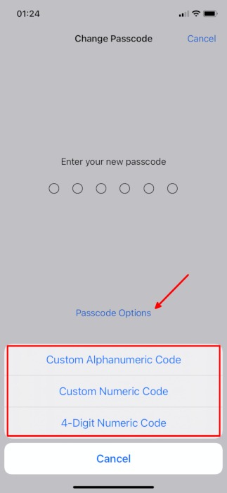 Iphone Privacy Features Settings Passcode Options