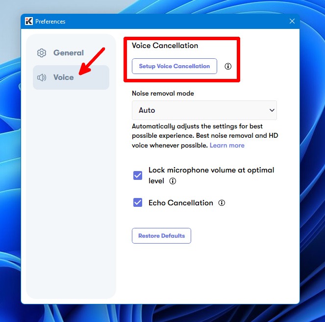 Krisp Preferences Voice