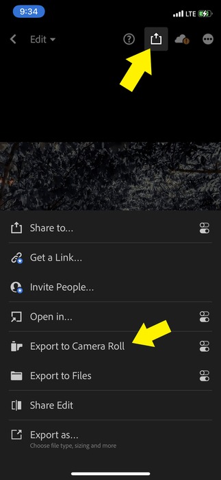Lightroom Export Mobile