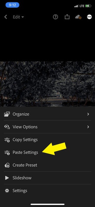 Lightroom Paste Settings