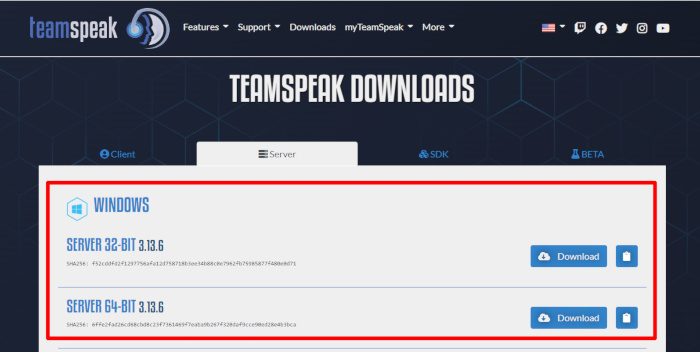 Teamspeak Downloads Page Server