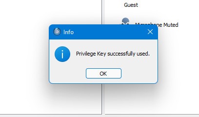 Teamspeak Key Used