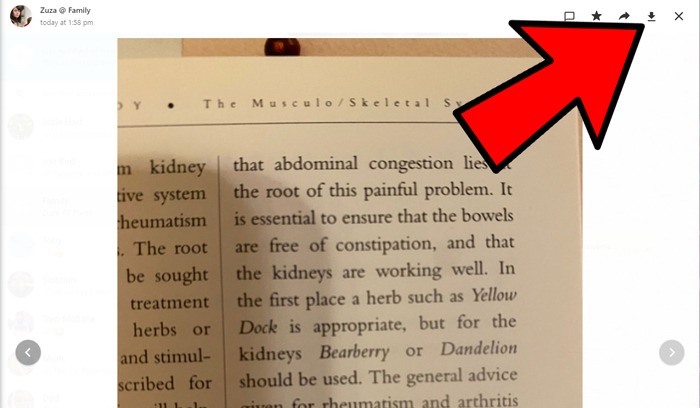 Whatsapp Not Downloading Photos Video Download 1