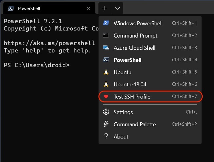 Windows Terminal Custom Ssh Profile Dropdown
