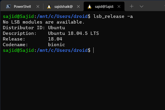 Windows Terminal Ubuntu Lsb Release