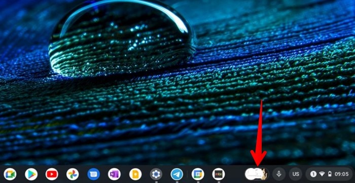 Chromebook Shelf Tote