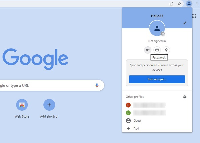 Passwords Browsers Dot Chrome Passwords Section