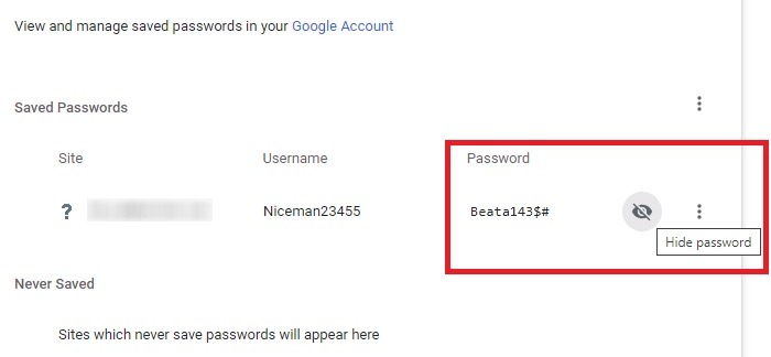 Passwords Browsers Dot Chrome Revealed Password