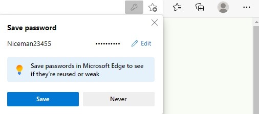 Passwords Browsers Dot Edge Password Saved
