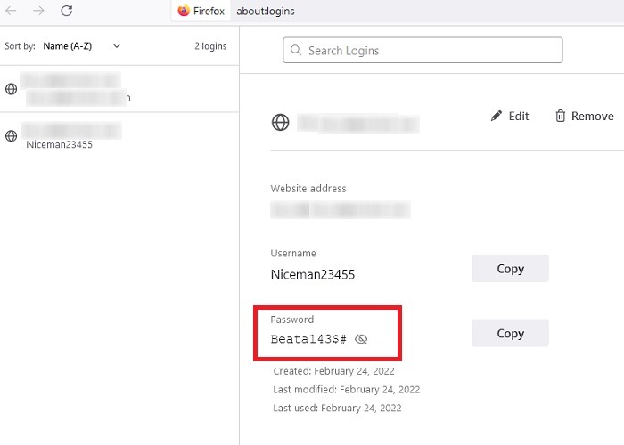 Passwords Browsers Dot Firefox Reveal Passwords