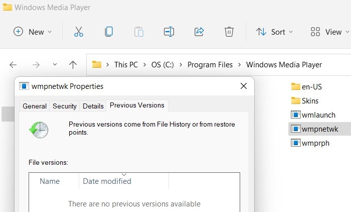 Wmpnetwk Exe File Wmpnetwk No Previous Versions