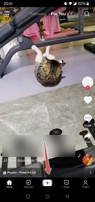 Add More Songs Tiktoks Add New Button