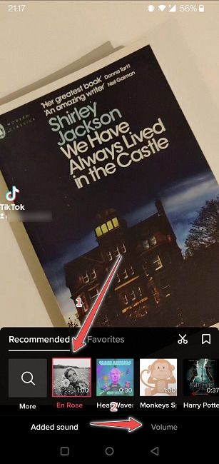 Add More Songs Tiktoks Volume