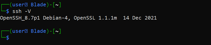 Ssh Version Check