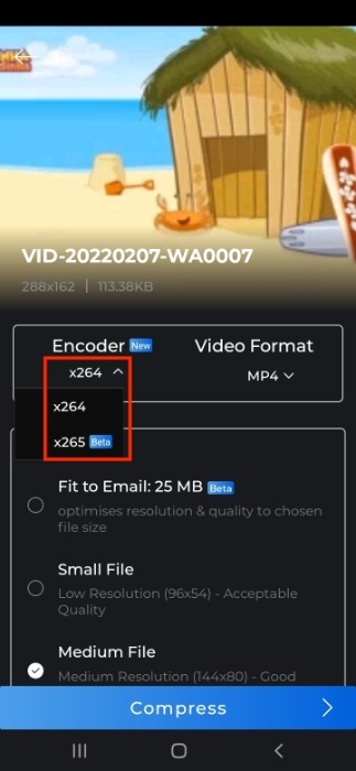 Video Compressor Select Encoding