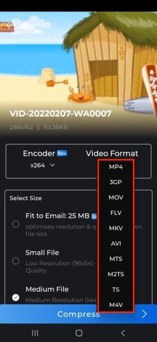 Video Compressor Select Format
