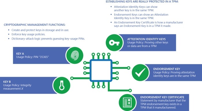 Windows Tpm Integration