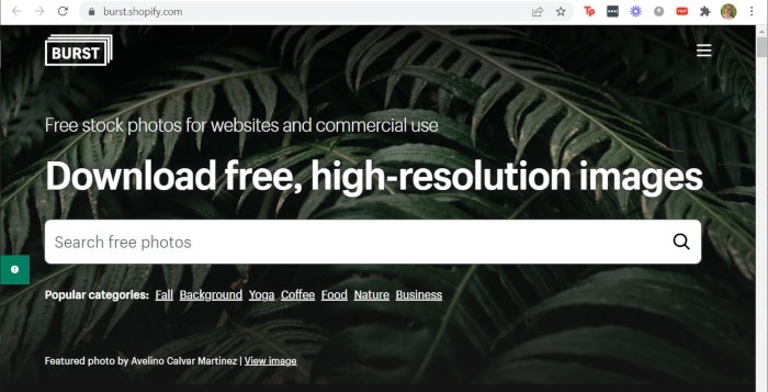 Creative Commons Burst Site