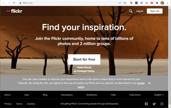 Creative Commons Flikr Site