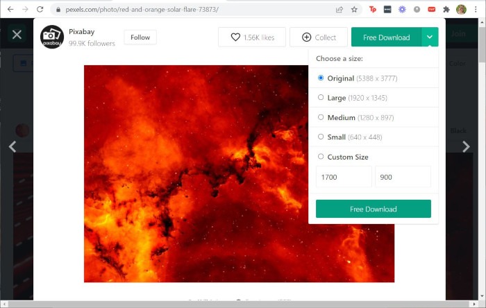 Creative Commons Pexels Download