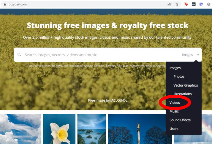 Creative Commons Videos Pixabay