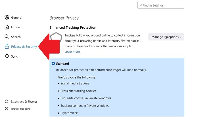 Firefox Privacy Security