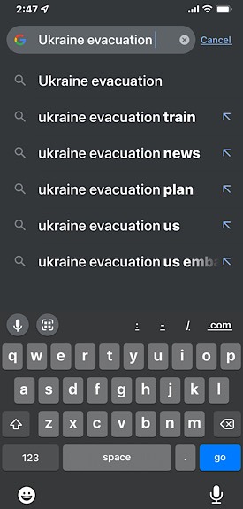 Google Aid Ukraine Search
