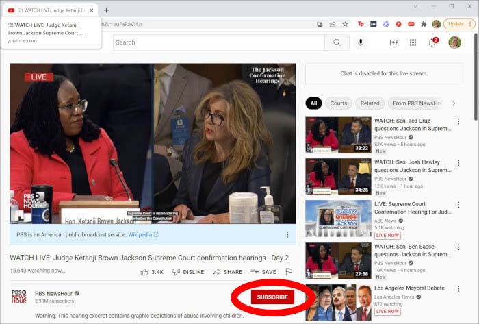 Youtube Live Subscribe