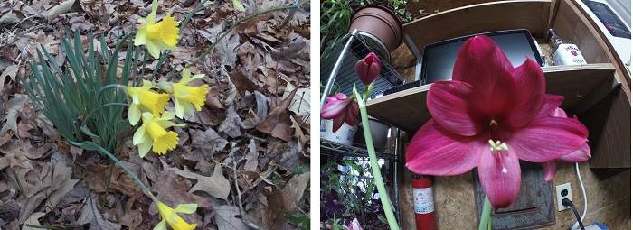 Akaso Brave 8 Action Cam Review Pictures