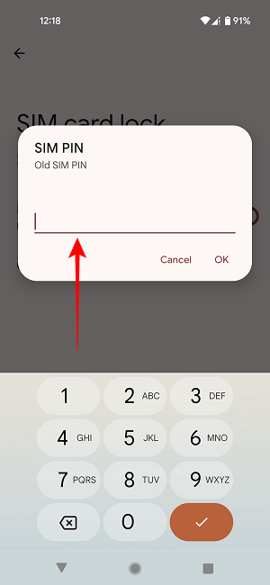 Change Sim Pin Old Code