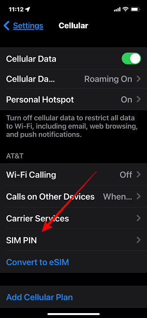 Change Sim Pin Options Ios