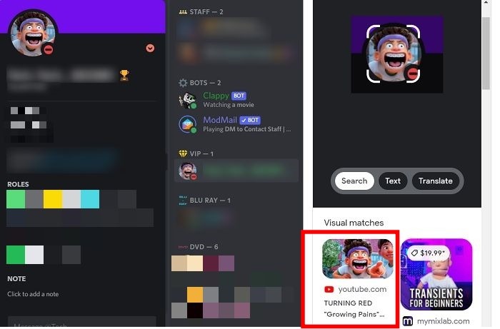 Discord Avatar Lens