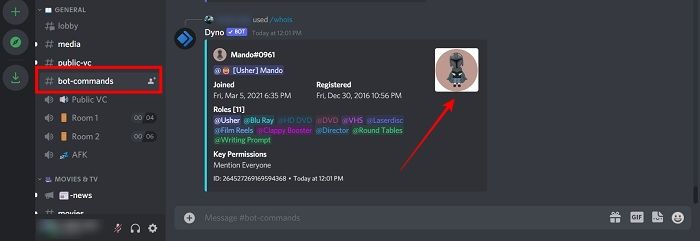 Discord Avvatar Full Execute Bot Commad
