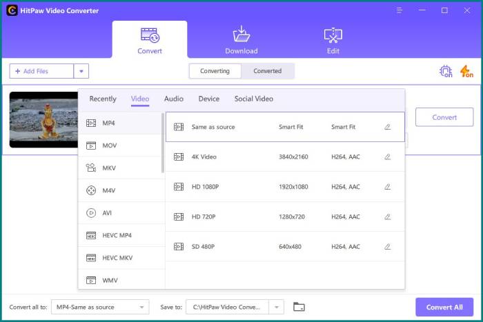 Hitpaw Video Converter Formats