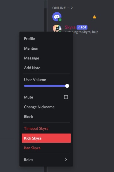 How To Add Bots To Your Discord Server Kick Bot