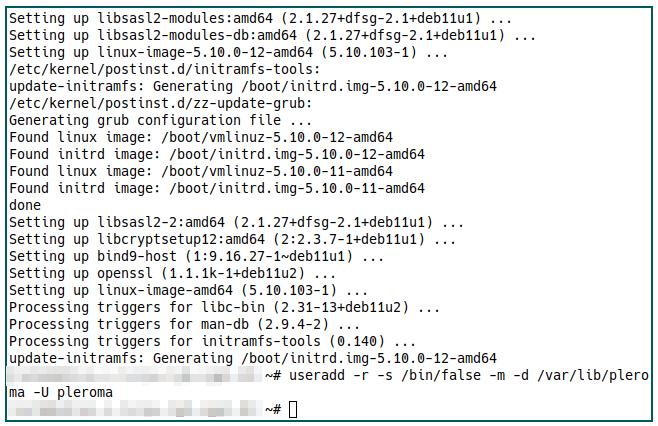 Pleroma Server 12 Add Pleroma User