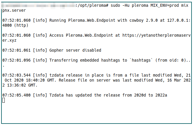 Pleroma Server 31 First Run