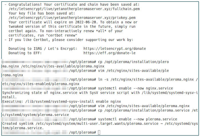 Pleroma Server 36 Enable Pleroma Service