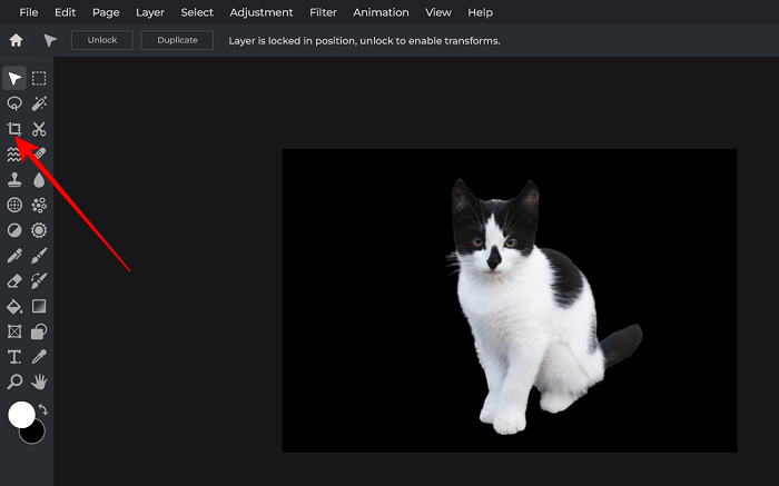 Set Custom Icons Android Crop