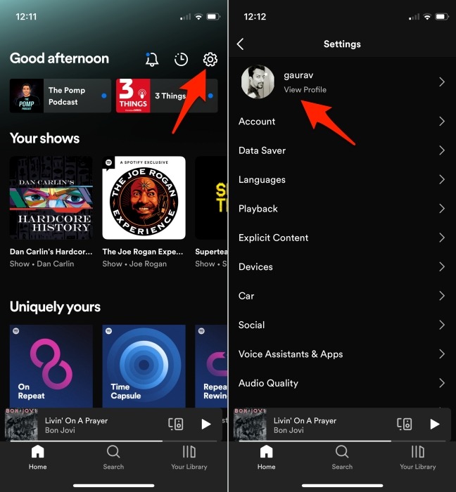 Spotify Mobile App Profile Settings