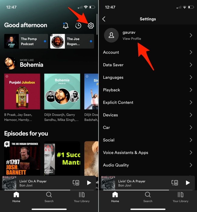 Spotify Mobile Profile Settings