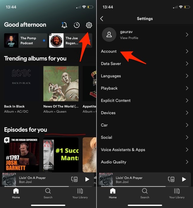 Spotify Mobile Settings